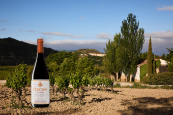Contino Mazuelo viñedo y botella